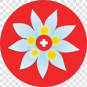 Swiss Edelweiss Svg Clip Arts   Swiss Edelweiss Flag  HD Png Download