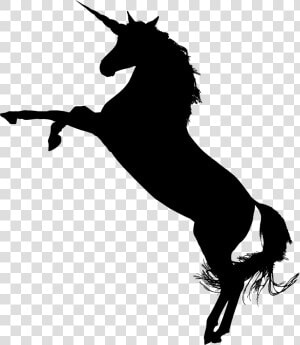 Unicorn  Fantasy  Animal  Equine  Galloping  Horse   Unicorn Silhouette Png  Transparent Png