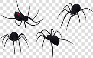 Black Widow Spider Set 09 By Free Stock By Wayne On   Spider Png Vector  Transparent Png