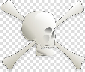 Skull And Bones Clip Arts   Skull And Bones  HD Png Download