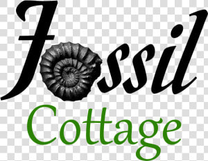 Fossil Cottage Fossil Cottage  HD Png Download