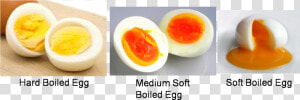 Boiled Egg  HD Png Download