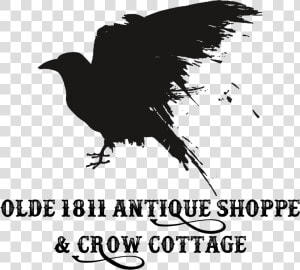 Olde 1811 Antique Shoppe And Crow Cottage   Crow  HD Png Download