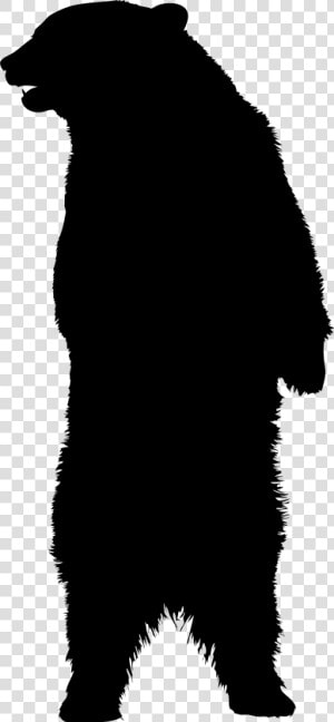 American Black Bear Brown Bear Silhouette   Silhouette Bear Clipart Png  Transparent Png