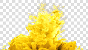  ftestickers  smoke  coloredsmoke  yellow   Stony Coral  HD Png Download