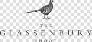 Clip Art Pheasant Logo   Pheasant Shooting Black And White  HD Png Download