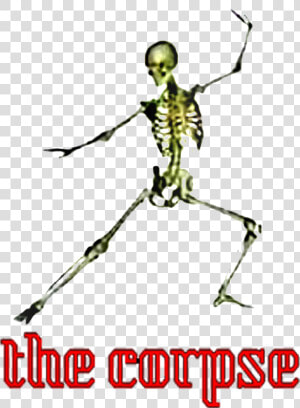 The Corpse   Skeleton  HD Png Download