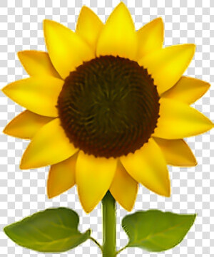 Sunflower Emoji Flower Sun Freeedit Iphone Cute   Emoji Sunflower  HD Png Download