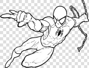 Homem Aranha Para Colorir E Pintar  HD Png Download