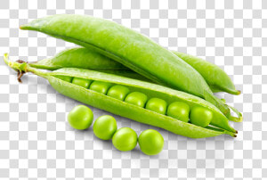 Peas   Bhindi Ko English Me Kya Bolte H  HD Png Download