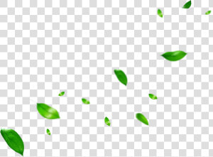 Leaf Clip Art Portable Network Graphics Plant Stem   Green Leaves Overlay Png  Transparent Png