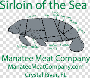 Manatee Meat Company   Sirloin Of The Sea Manatee  HD Png Download