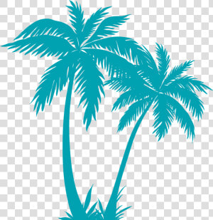 Transparent Palm Tree Plan Png   Palm Tree Vector Png  Png Download