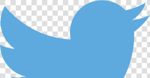 Happy 10th Birthday  Twitter Also  Behold Our Inspirational   Small Twitter Logo Png  Transparent Png