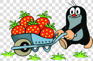 Little Mole Collecting Strawberries In A Wheelbarrow   Mole  HD Png Download