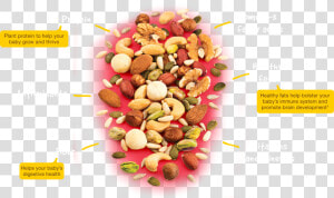 Peanuts And Assorted Nuts  Including Almonds  Cashews    Natural Foods  HD Png Download