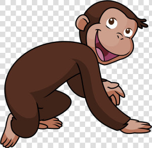 Transparent Cartoon Monkey Png   Brown Monkey Cartoon Clipart Cute  Png Download