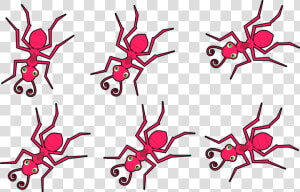 Ants  Insects  Red Ants  Animals  Wild  Wildlife   Imágenes De Hormigas Rojas  HD Png Download