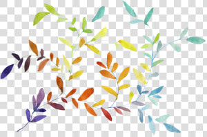 Hojas De Colores En Acuarela   Hojas De Acuarela Png  Transparent Png