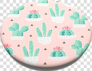 Transparent Cute Cactus Png   Cactus Popsocket  Png Download