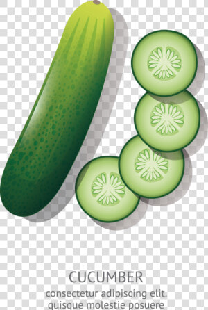 Transparent Cucumber Png   Cucumber Cartoon Drawing  Png Download