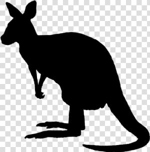 Kangaroo Silhouette Png Image   Kangaroo Silhouette Black  Transparent Png