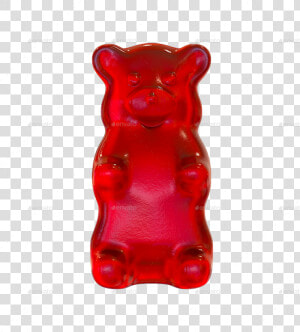 Gummy Bear Clipart Gummy Bear Snout   Teddy Bear  HD Png Download