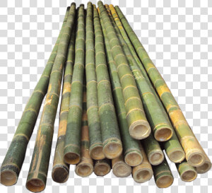 Bamboo Pole Vault Poles  HD Png Download