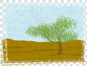 Transparent Grass Drawing Png   Grass  Png Download