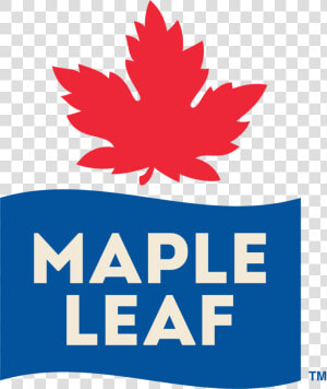 Mapleleaf Logo Pms Tm  HD Png Download