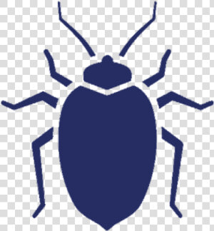 Bed Bugs Uspest   Bed Bugs Black Symbol Png  Transparent Png