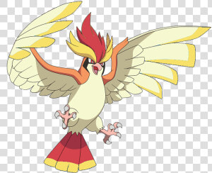 View 1546909263342     Draw Mega Pidgeot Pokemon  HD Png Download