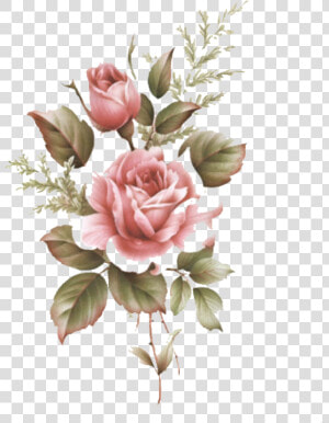  flowerpng  rose  overlays  kpopedit  freetoedit  nolza   Flower Drawing Tumblr Color  Transparent Png