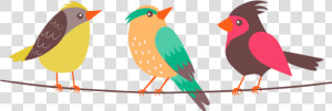 Birds Png Hd Images  Stickers  Vectors   Vector Colorful Birds Png  Transparent Png