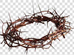 Jesus With Crown Of Thorns Christian Cross Gospel Spines   Crown Of Thorns  HD Png Download