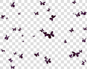  butterflies  mariposas  mariposa  butterfly  group   Fundo De Borboletas Em Png  Transparent Png