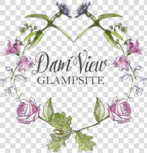 Dam View Glampsite   Rosa Glauca  HD Png Download