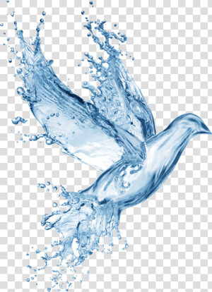  bird  dove  water  splash   Holy Spirit Symbols Water  HD Png Download