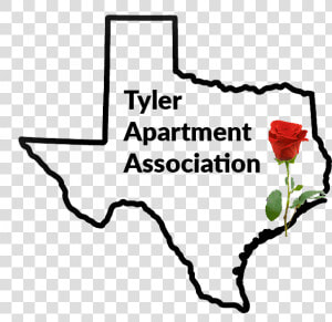 Tyler Apartment Association   Transparent State Of Texas  HD Png Download