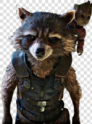  rocketraccoon  rocket  guardianesdelagalaxia   Full Body Mcu Rocket Raccoon  HD Png Download