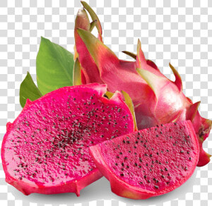 1 mcp On Dragon Fruit   Transparent Dragon Fruit Png  Png Download