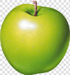 Green Apple Png   Green Apple Transparent Background  Png Download