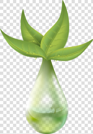 Extraction Of Plant  HD Png Download