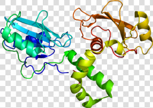 Protein Zap70 Pdb 1m61   Zap70 Structure  HD Png Download