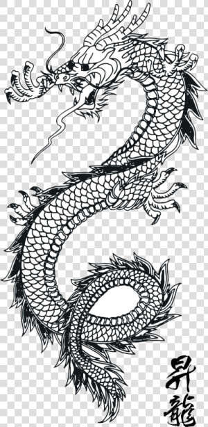 Dragon Vector Art 1   Chinese Dragon Line Art  HD Png Download