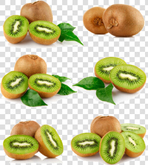 Several Kiwifruit Hd Png   Kiwi Fruit Images Hd  Transparent Png