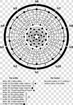 Diagrama Polar De Introvert   Circle  HD Png Download