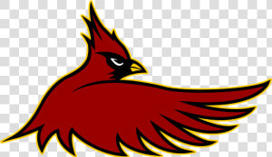 Free Download Cardinal Hayes Cardinals Clipart Cardinal   Cardinals Football Png  Transparent Png