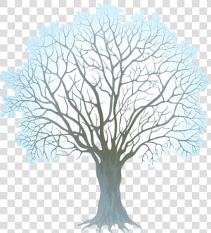 Clipart Winter Watercolor   Winter Tree Clipart Png  Transparent Png