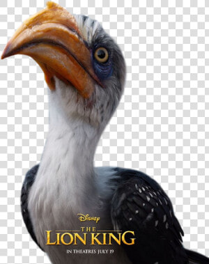 Zazu Lion King Live Action  HD Png Download